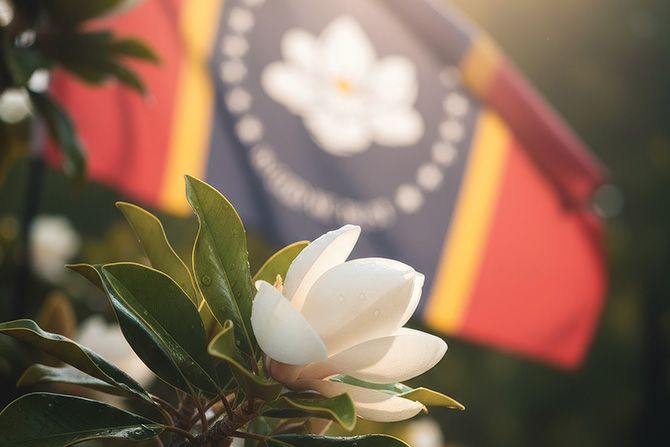 AI graphic of white magnolia in front of Mississippi flag